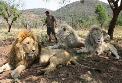 Partez au Kenya pour trouver la premire lettre du nom de ce romancier, qui crivit l'histoire de King, le lion !