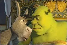 Un marais, un ne bavard comme une pie et un ogre qui n'a pas l'air de se marrer. Ensuite, c'est une grande amiti qui les lie.