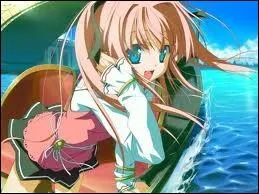 Dans  One Piece , qui est-ce ?