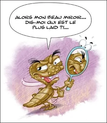 Chercher des poux  quelqu'un, c'est :