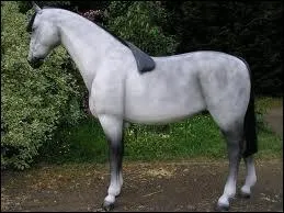 De quelle robe s'agit-il ?