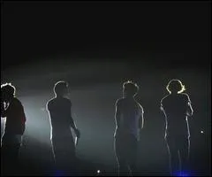 Combien de concerts sont prvus pour le 'Take Me Home Tour' ?