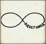 Avec quelle star Niall semble-t-il bien s'entendre ?