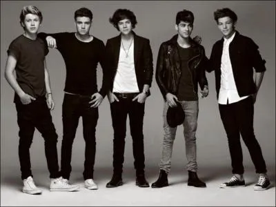 Avec qui Harry a-t-il dcid de partager son appartement juste aprs X-Factor ?