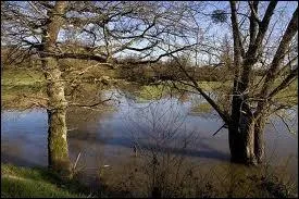 L'Acolin, rivire des dpartements de l'Allier ( 03 ) et de la Nivre ( 58 ), est un affluent ...