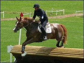 Cette race est souvent choisie pour les chevaux de comptition. Elle est le rsultat du croisement de deux races, l'une trs rapide et l'autre trs endurante... Mais laquelle est-ce ?