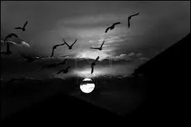 Qui chantait  A-t-il enfin trouv la joie la libert, parlez moi de lui, comment va sa vie  ?