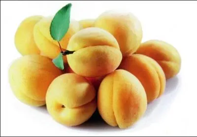 "L'as-tu vu ? Moi je l'ai vu / L'abricot de la cantinière". Que désigne le mot abricot, ici ?