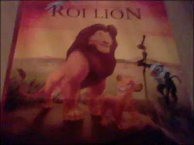 Quel est le titre de ce livre ?