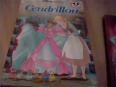 Quel est le titre de ce livre ?