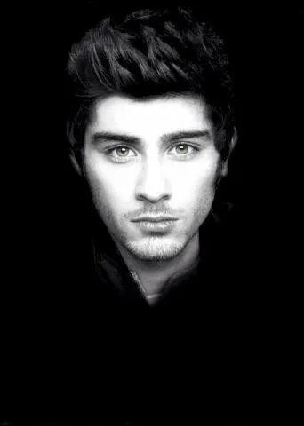 Quelle est la nourriture préférée de Zayn ?