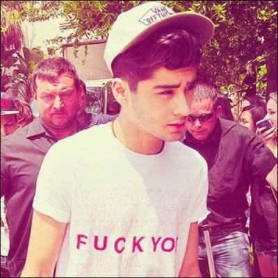 Quelle est la date de naissance de Zayn ?