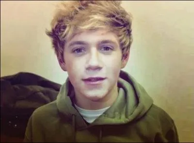 Quelle est la boutique préférée de Niall ?