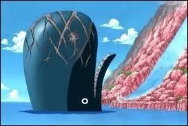 Qui est cette baleine ?