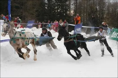 Hein ? Maintenant on fait de l'�quitation sur la neige ? Mais quel nom a-t-on pu donner � cette pratique ?