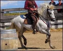 Dans l'�quitation, il y a plusieurs styles de monte. Mais alors, les connaissez-vous ?