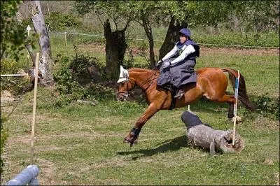 Cette monte est sp�ciale car les pieds sont du m�me cot� ! Alors, comment s'appelle-t-elle ?
