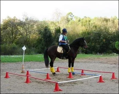 Je pense que 30 % des gens vont trouver la bonne r�ponse � cette question. Alors, quelle est cette discipline ?