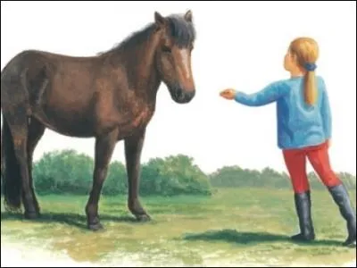 Comment doit-on aborder un cheval ?