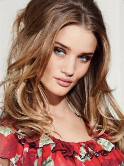 Rosie Huntington-Whiteley, un autre mannequin export au cinma, est notamment apparue dans un grand blockbuster estival. Lequel ?