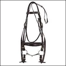 Je dois nettoyer le harnachement de ma monture ...