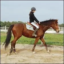 Pour avancer il faut ...