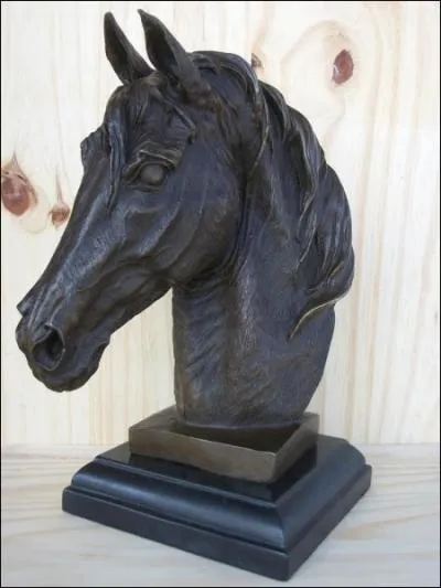 Qu'est-ce qu'un cheval qui boit dans son blanc ?