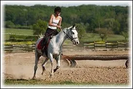 Si mon cheval a de l'impulsion ...