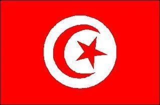 De quel pays vient ce drapeau ?