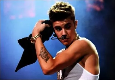 Comment s'appel la tourne qu'il entame en 2013 ?