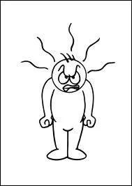 Cette photo reprsente quel pch capital ?