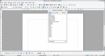 Quel est le style du document ? (attention : pige)