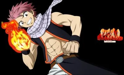 De quel manga est tir ce personnage ?