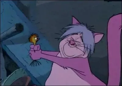 Quelle sorcire se transforme en chat ?