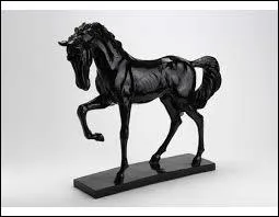 On distingue trois allures naturelles : le pas, le trot, le galop. Ce sont les seules qui existent.