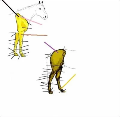 Qu'indique le trait orange ple ? (Cliquez sur l'image pour l'agrandir)