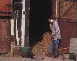 Je dois curer l'hbergement du cheval 1 fois par mois.