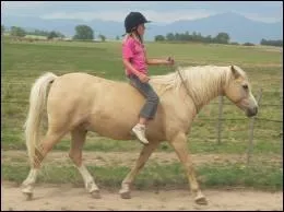 Le pas est une allure de...