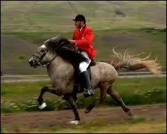 Le mcanisme du galop  droite, c'est :