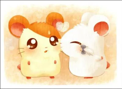 Quel petit hamster orang se rend au repaire des Ham-Hams pendant que Laura est  l'cole ?