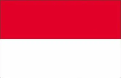 A quel pays appartient ce drapeau ?