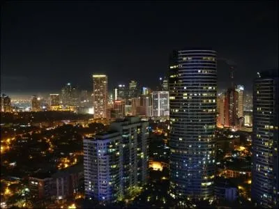 Manille est la capitale des Philippines, que signifie son nom ?