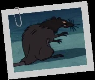 Dans quel dessin anim de Disney peut-on apercevoir ce rat hideux ?