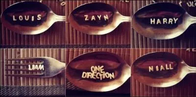 O la tourne du Take Me Home Tour a-t-elle commenc ?