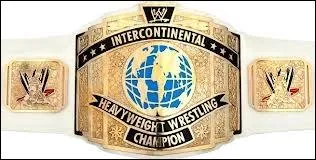 Quelle est cette ceinture ?