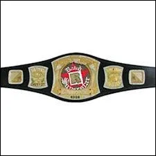 Quelle est cette ceinture ?