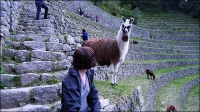 Traversons la plante pour aller visiter ce pays, o les lamas sont rois, sous le regard de dieux incas, aux alentours de Pisac !