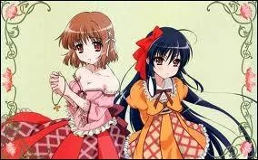 Qu'ont-elles de spécial ?