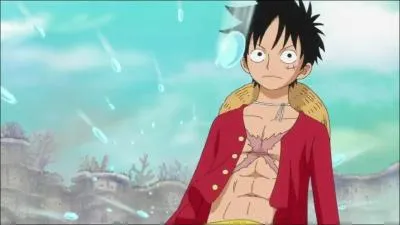 Sur l'le des homme-poissons (2 ans aprs), contre qui Luffy et son quipage se battent-ils ?