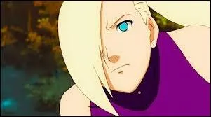 Dans quel manga est ce personnage ?